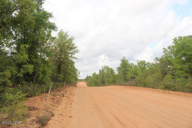 Buckhorn Creek - Land