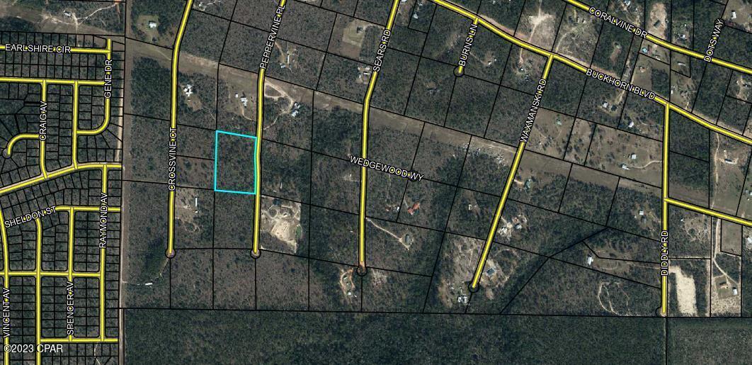 Buckhorn Creek - Land