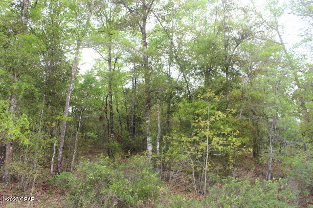 Buckhorn Creek - Land