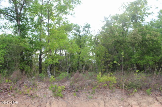 Buckhorn Creek - Land