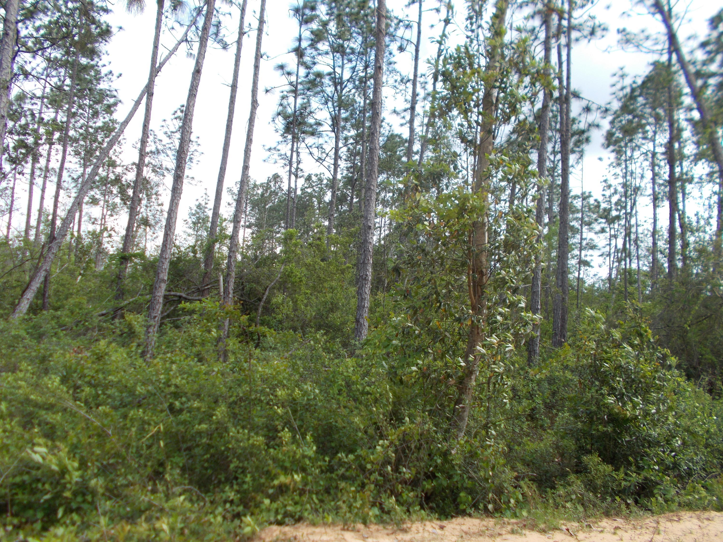 Compass Lake Hills Unit 4 - Land