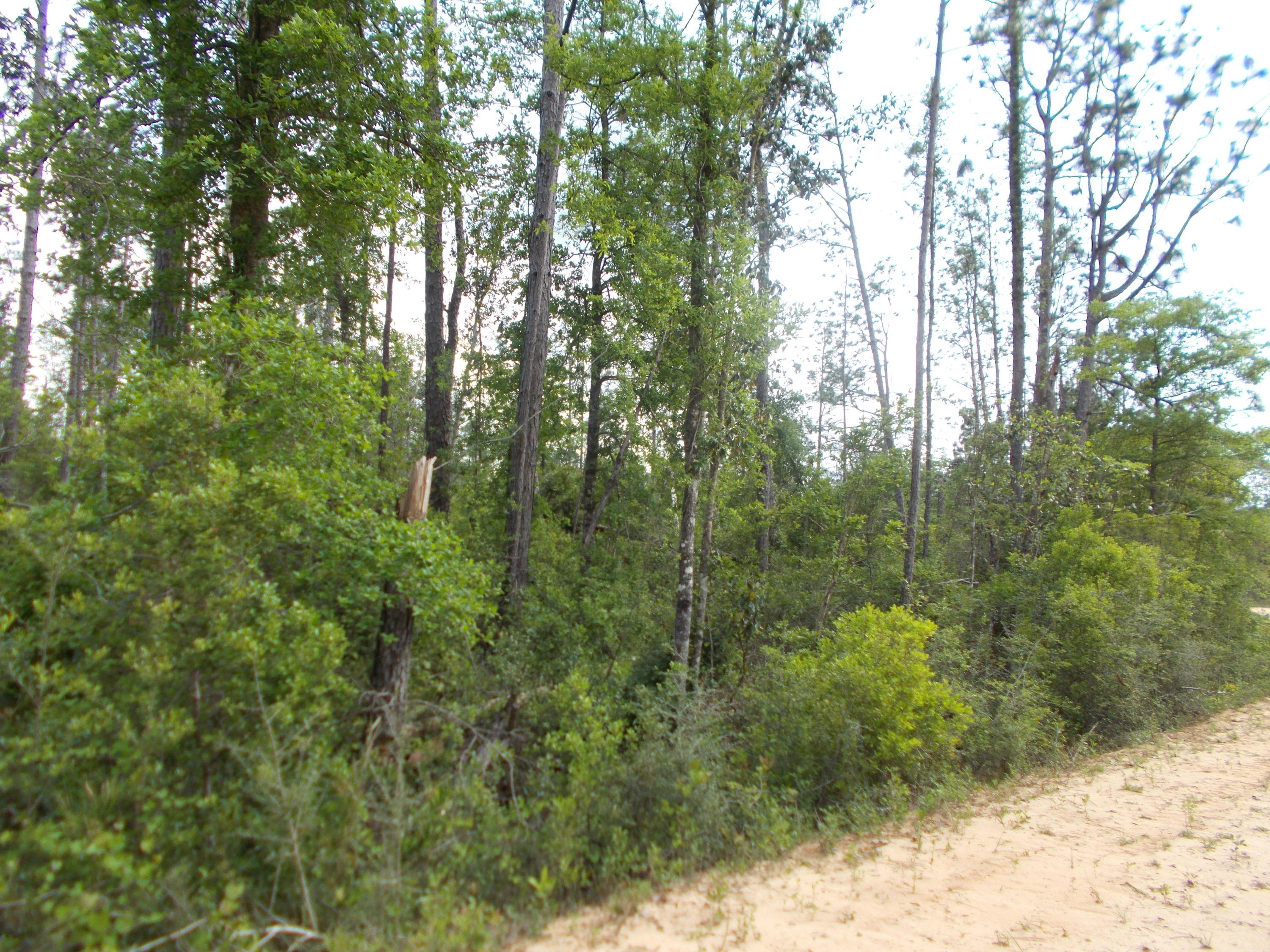 Compass Lake Hills Unit 4 - Land