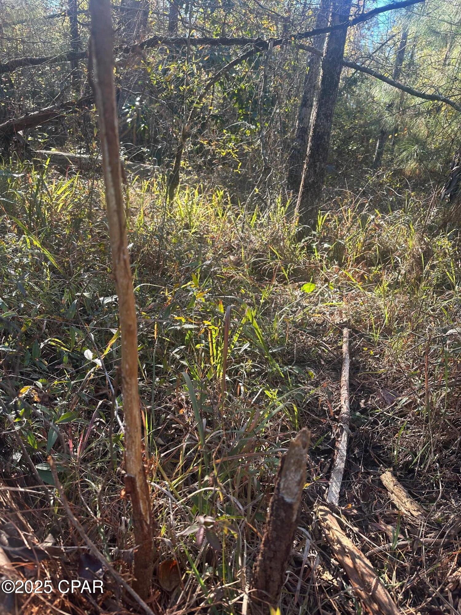 [No Recorded Subdiv] - Land