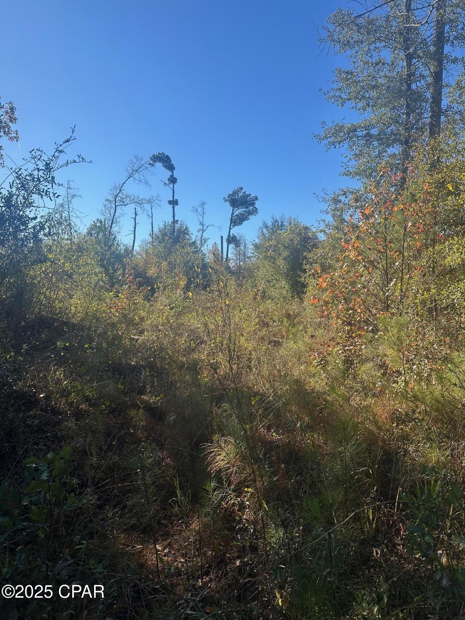 [No Recorded Subdiv] - Land