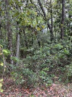 Paradise Oaks - Land