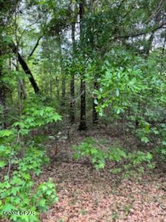 Paradise Oaks - Land