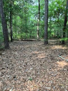 Paradise Oaks - Land