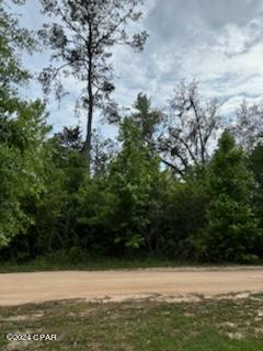 Paradise Oaks - Land