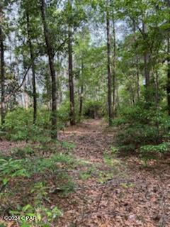 Paradise Oaks - Land