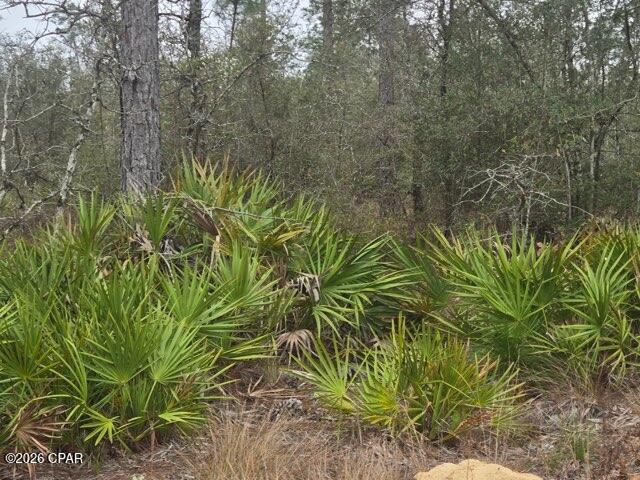 [No Recorded Subdiv] - Land