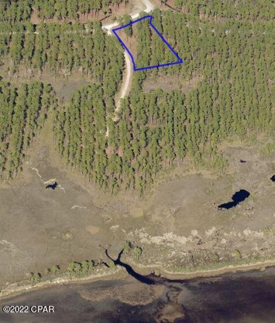 Beautiful, wooded 3/4 acre Lot with a distant  unspoiled view of West Bay located in the gated community of RiverCamps. Tremendous opportunity to build the house of your dreams in one of Panama City Beach's most sought after communities. Located minutes from the airport and approximately 10 miles from the famous white sandy beaches and Pier Park. RiverCamps is an outdoor enthusiasts dream. Over 7 miles of trails to hike, bike and explore. Located on Crooked Creek, the Intracoastal waterway and West Bay. RiverCamps offers owners a community boat ramp, day-use boat slips, dry boat storage, zero-entry pool, fitness center and unlimited use of  kayaks, canoes, paddle boards and bicycles. All of this located on 1500 acres with only 450 homesites on 500 acres with the remaining 1000 acres committed to conservation.
