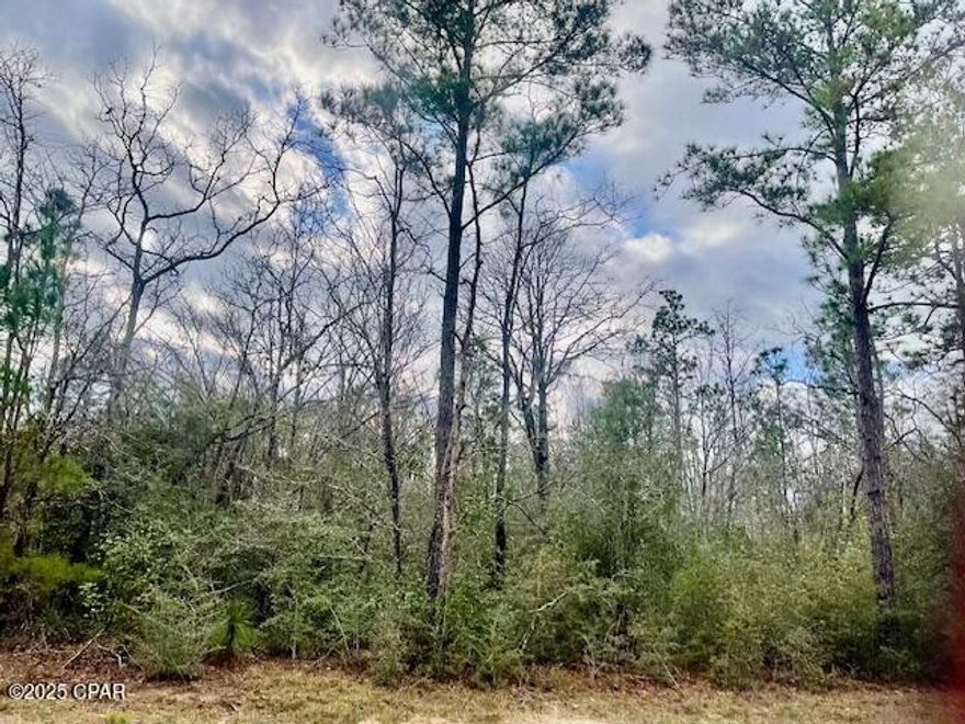Beautiful building lot in lovely Compass Lake Hills.
This lot is  high and dry and just off of paved road. Mobile homes are allowed here also.  There is an abundance of wildlife here to enjoy.  You have easy access south to Panama City on the coast and north to Marianna for shopping.  There is a non mandatory $135 fee for access to certain amenities here but you have free access to two beautiful lakes.