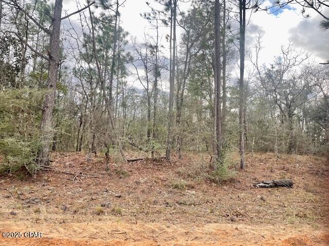 Compass Lake Hills Unit 3 - Land