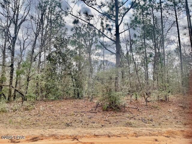 Compass Lake Hills Unit 3 - Land