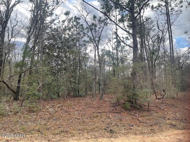 Compass Lake Hills Unit 3 - Land