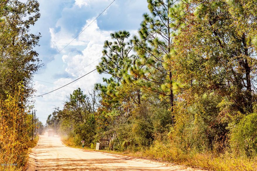 Use the abundant pine trees to surround your new homestead with perfect privacy– build or place a mobile home. It's all up to you! The opportunities are endless. Cabins and Alternative Homes are also usually allowed and there are NO restrictions that we are aware of, however it is best to confirm what you can do with the Bay County zoning office just to be sure.

This HIGH AND DRY parcel sits off of VERY well maintained roads and is conveniently located just 1 mile from Highway 231 for easy access to town. Fountain, FL also boasts a 110+ acre spring- fed lake to cool off in the crystal water close by.Looking for additional dining, entertainment, and recreation? The property is minutes north of Panama City and the Gulf of Mexico for sun and sand, the notorious Pier Park for great shopping