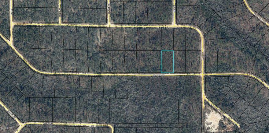 Great building lot in Compass Lake in the Hills. This community south of Marianna offers a lot of amenities to the owners. There is a clubhouse with swimming pool, cabin rentals, RV spaces, and more. Great place to build your new home and enjoy the peaceful rural lifestyle. Buyer to pay for Title Insurance, Closing fee, and Doc Stamps on the Deed.