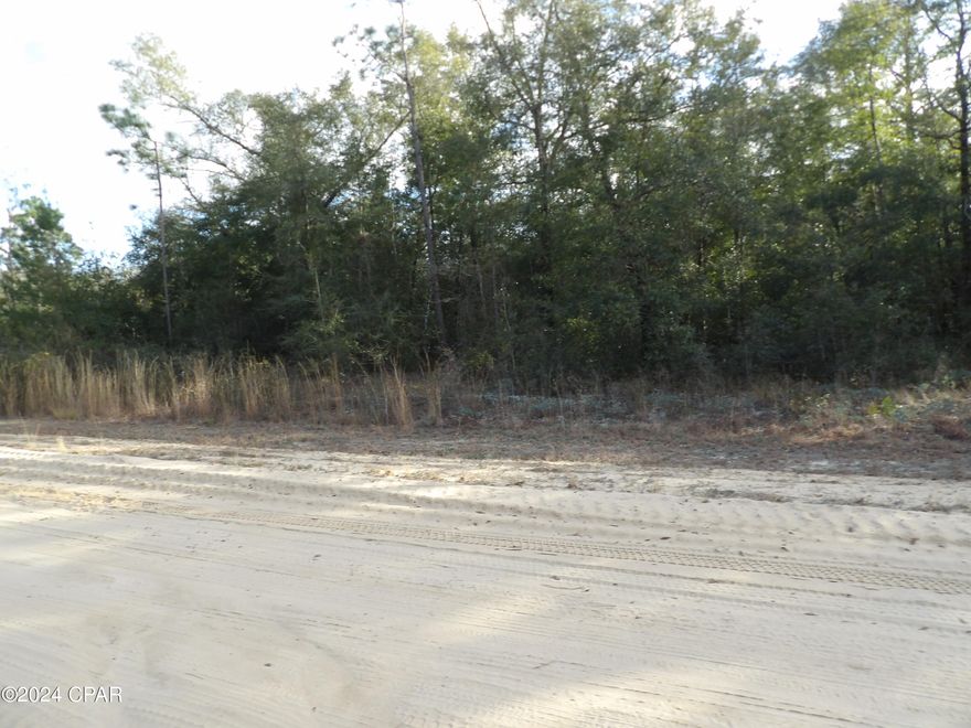 UNDER CONTRACT, SELLER WILL CONSIDER BACKUP OFFERS .69 acre lightly wooded lot off a county maintained dirt road offered as is.  The lot is close to US Highway 231.
