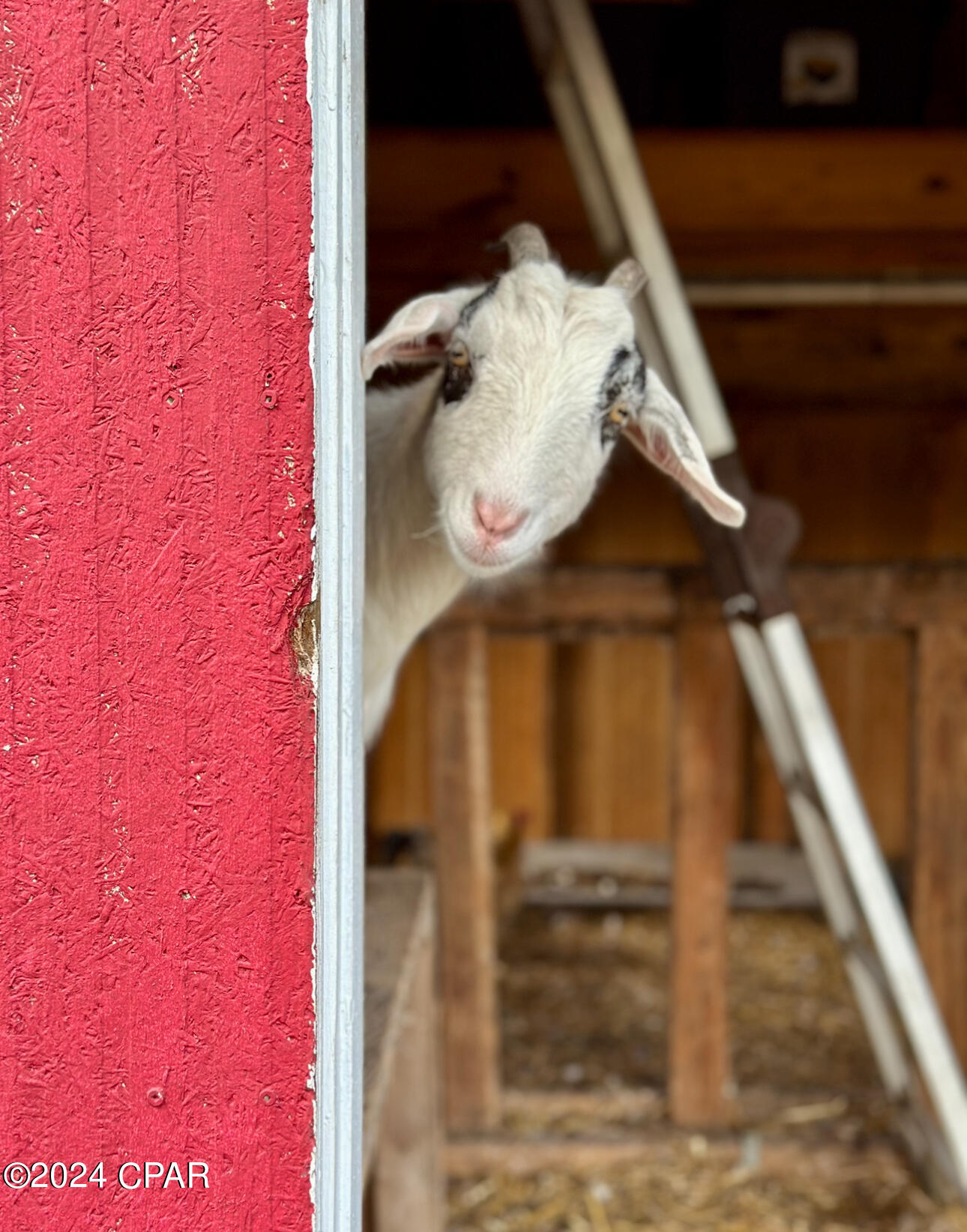 Deerpoint Lake Heights - Residential
