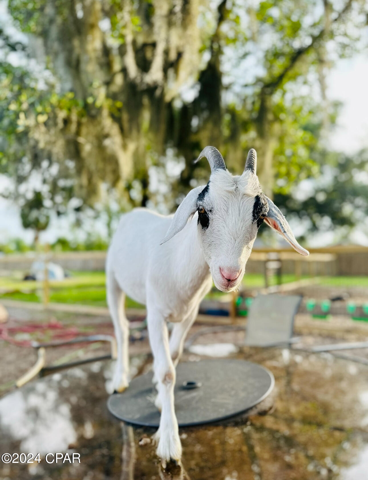 Deerpoint Lake Heights - Residential