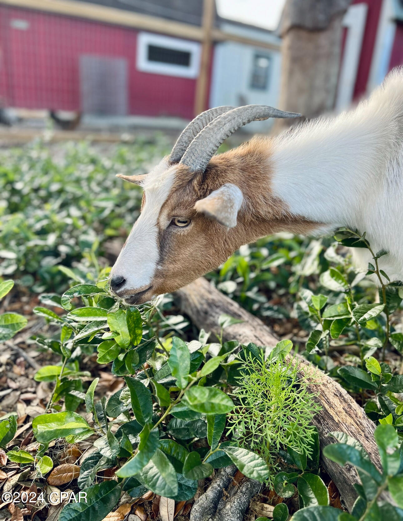 Deerpoint Lake Heights - Residential