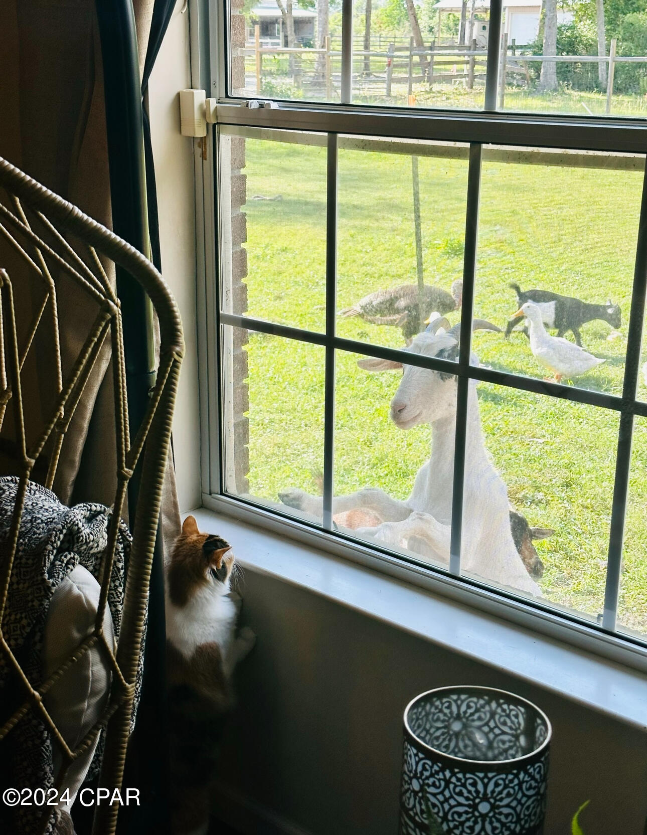 Deerpoint Lake Heights - Residential