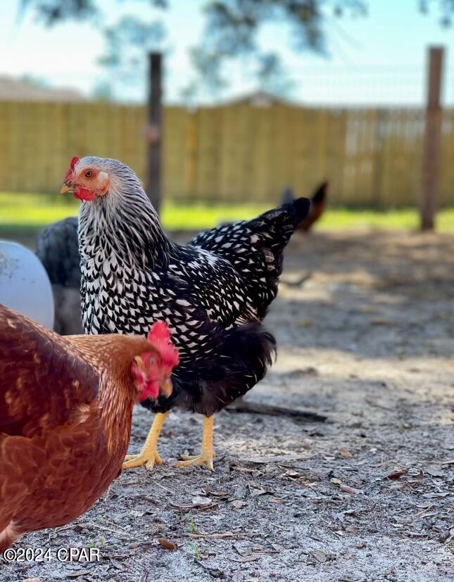 Deerpoint Lake Heights - Residential