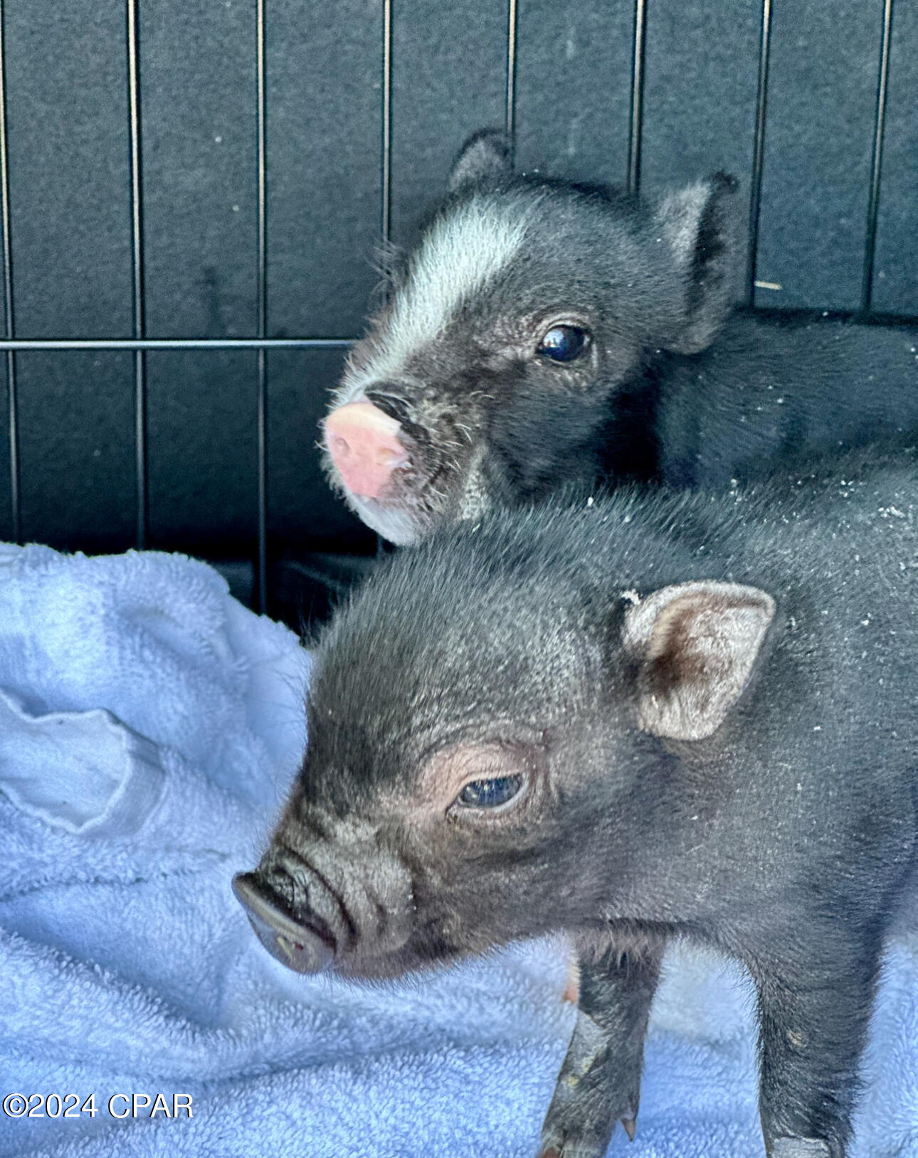 Deerpoint Lake Heights - Residential