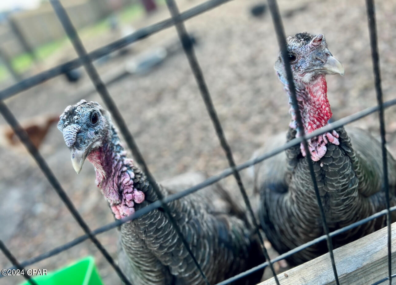 Deerpoint Lake Heights - Residential