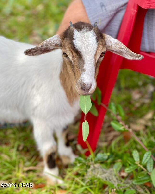 Deerpoint Lake Heights - Residential