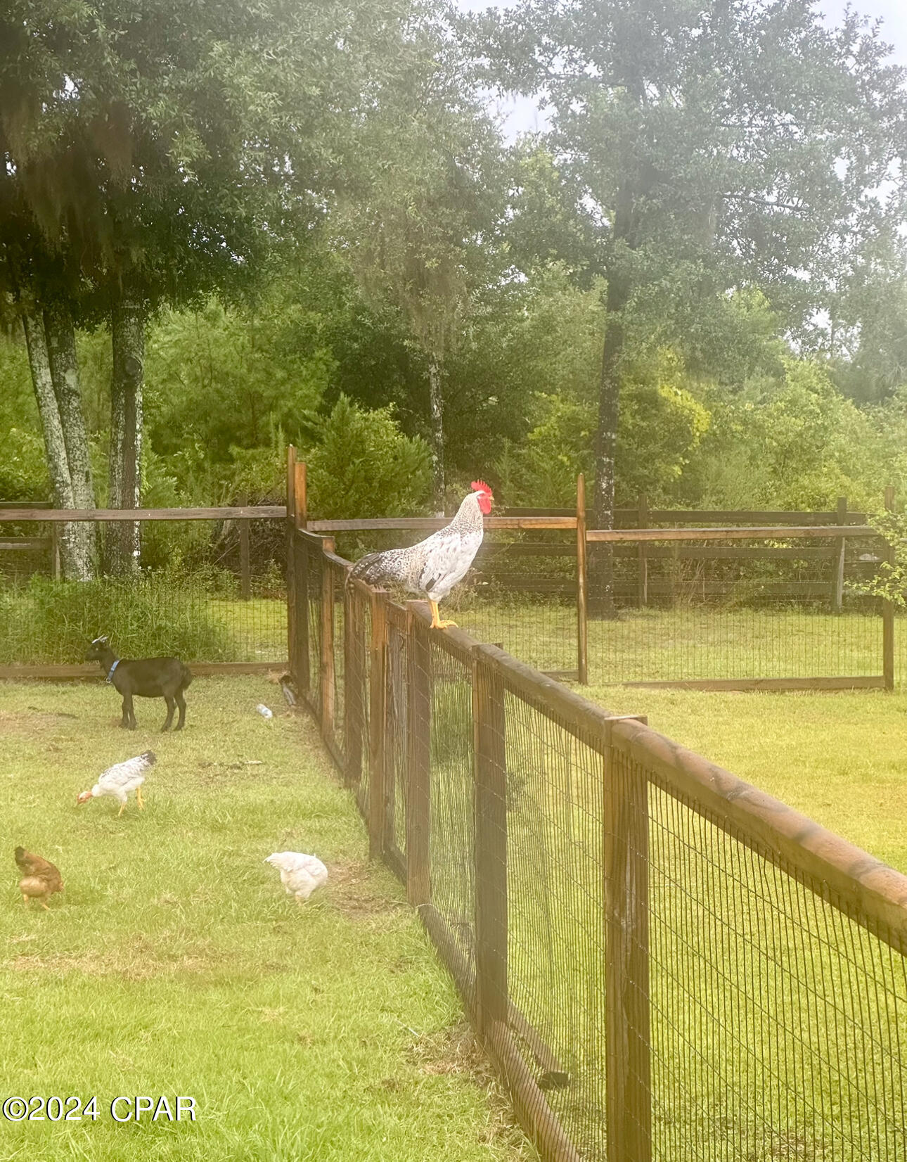 Deerpoint Lake Heights - Residential