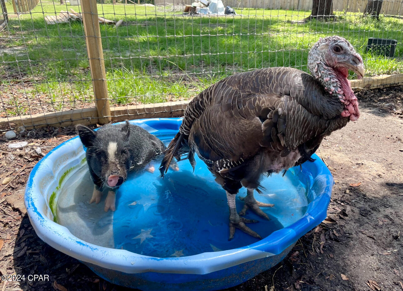 Deerpoint Lake Heights - Residential