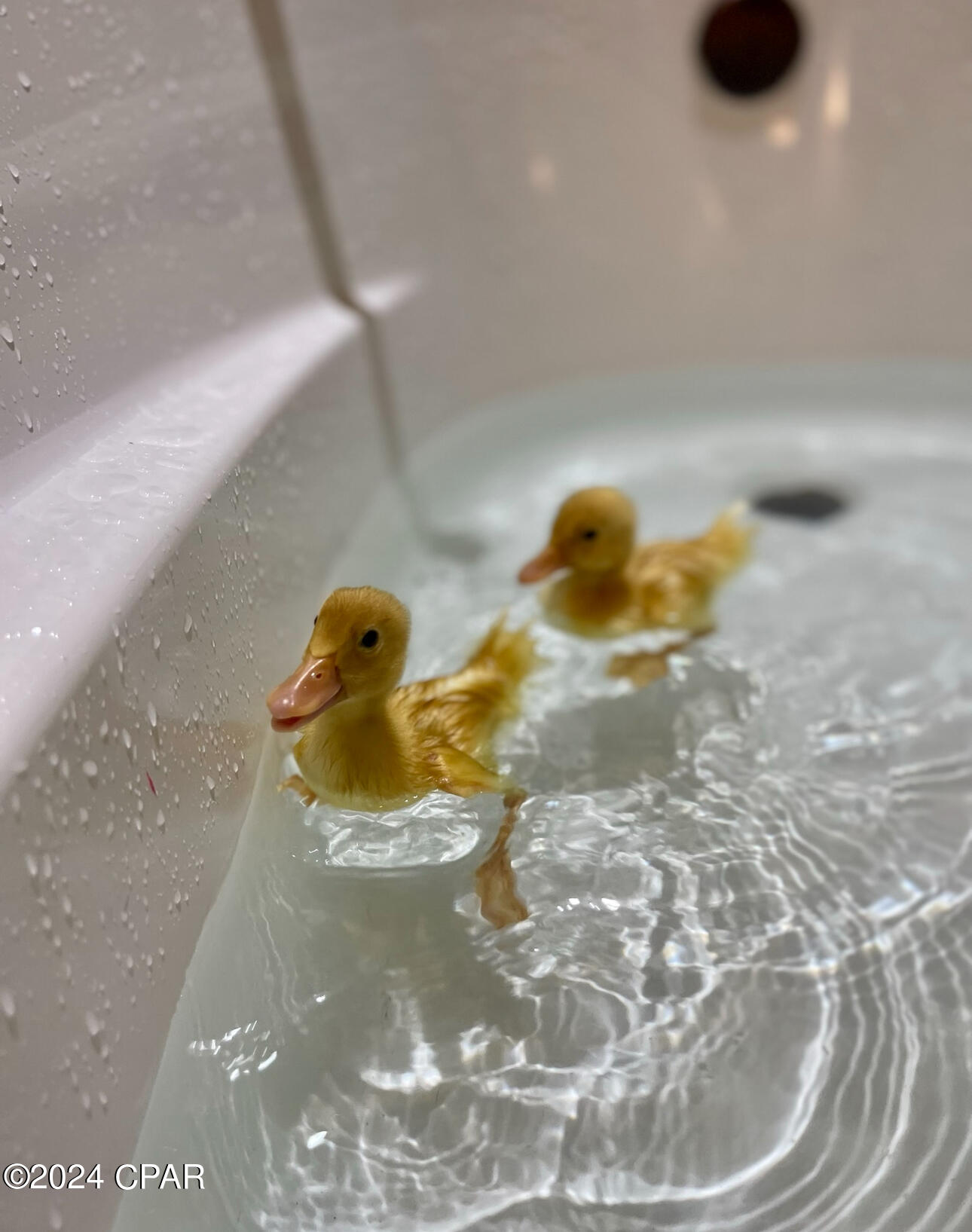 Deerpoint Lake Heights - Residential