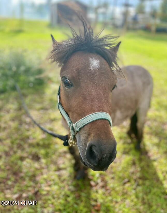 Deerpoint Lake Heights - Residential