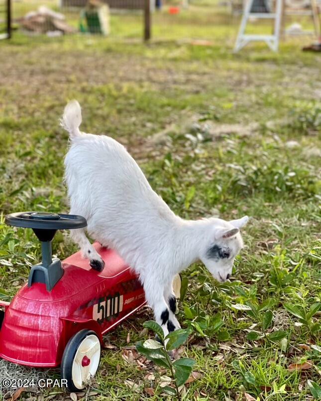 Deerpoint Lake Heights - Residential