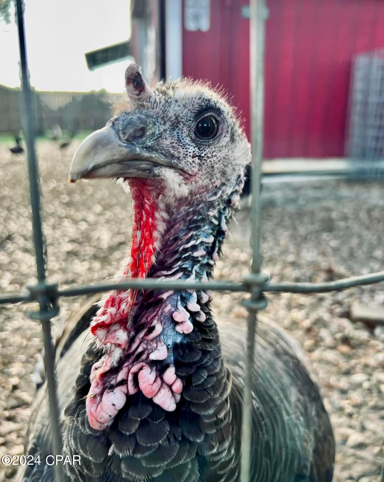 Deerpoint Lake Heights - Residential