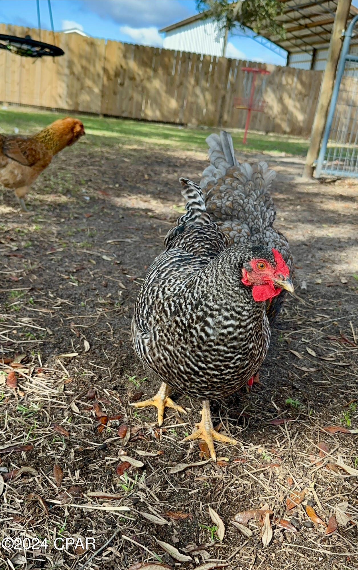 Deerpoint Lake Heights - Residential