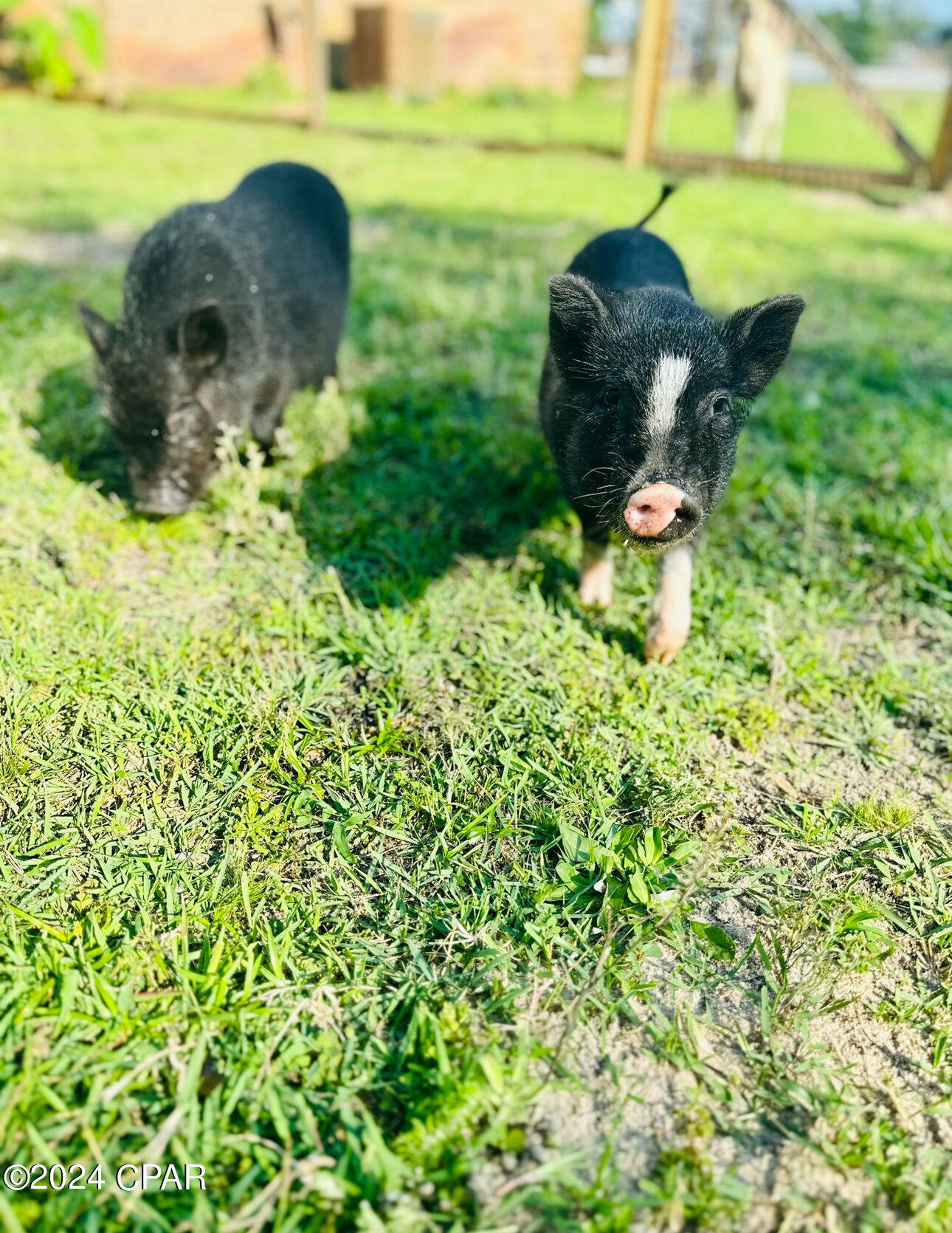 Deerpoint Lake Heights - Residential