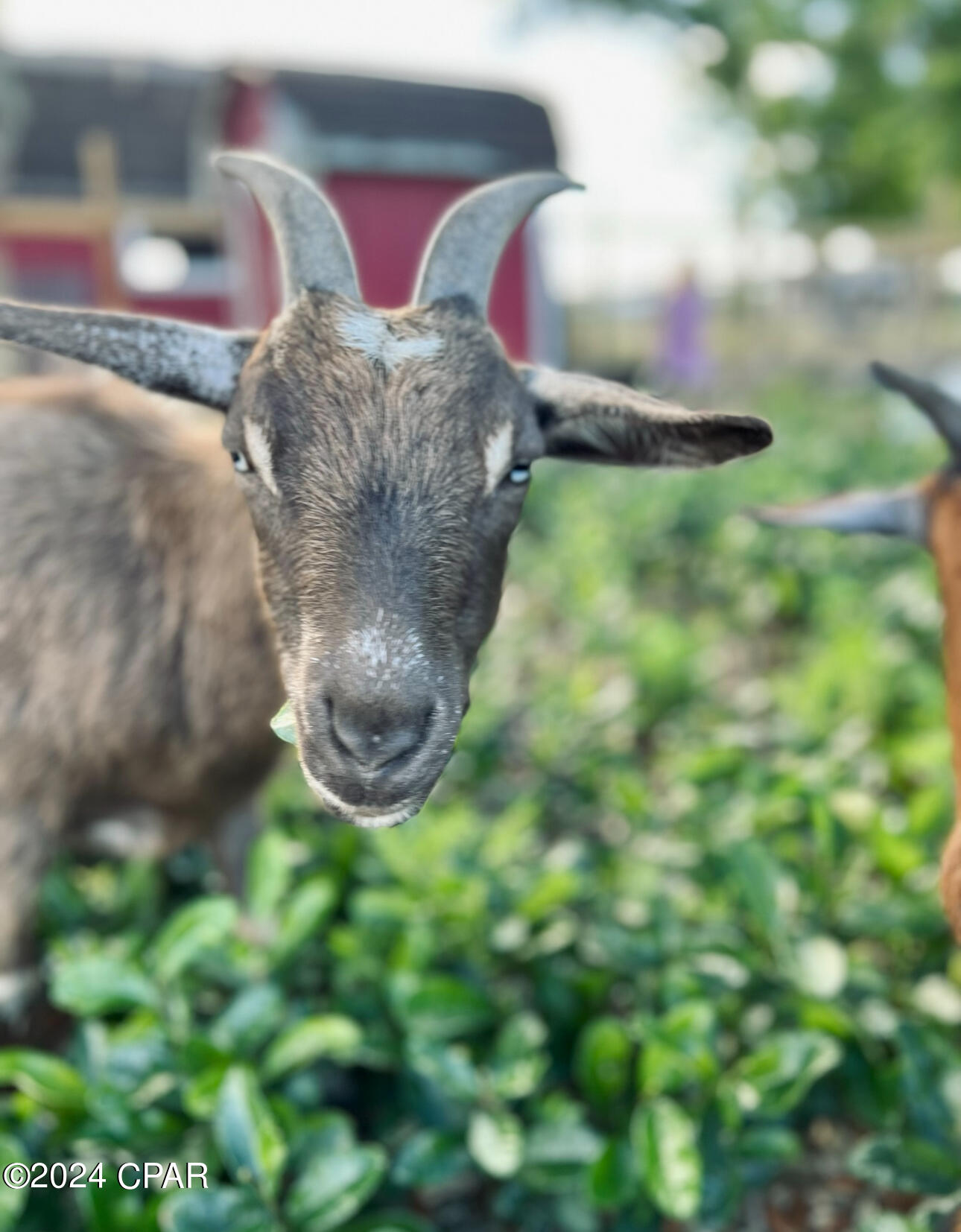 Deerpoint Lake Heights - Residential