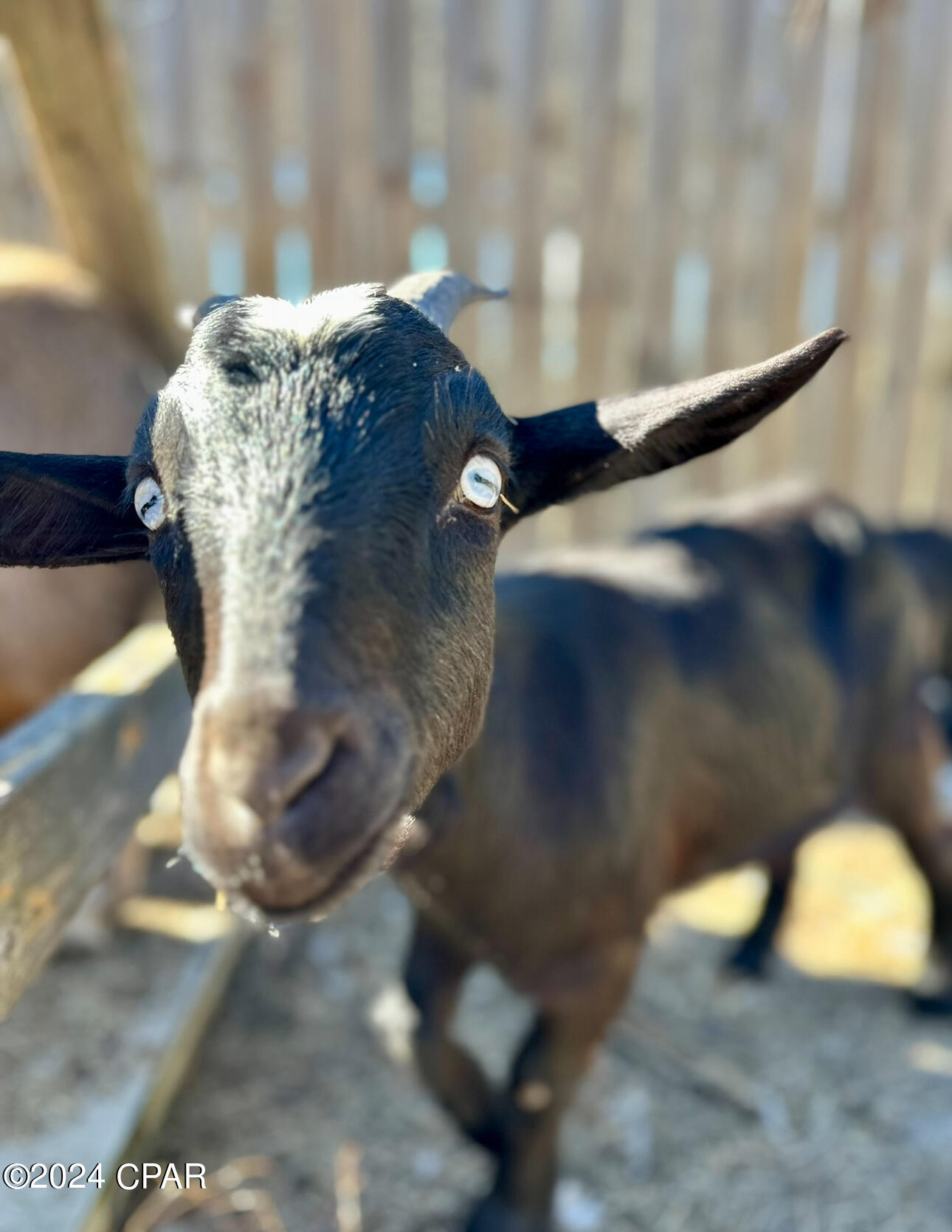 Deerpoint Lake Heights - Residential