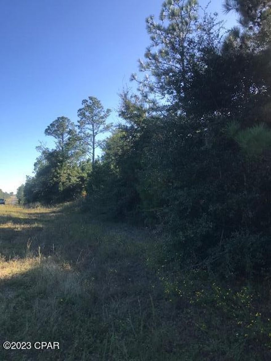 Are you looking for an affordable acre for your mobile home on a paved road or for new construction?  This Wooded acre is located close to Compass Lake for fishing and boating. 1 hour drive MOL to Panama City to Beaches. POA is not mandatory but you can join for $135 annually for the amenities, access to McCormick Lake and voting rights. Lot appears to be high and dry.