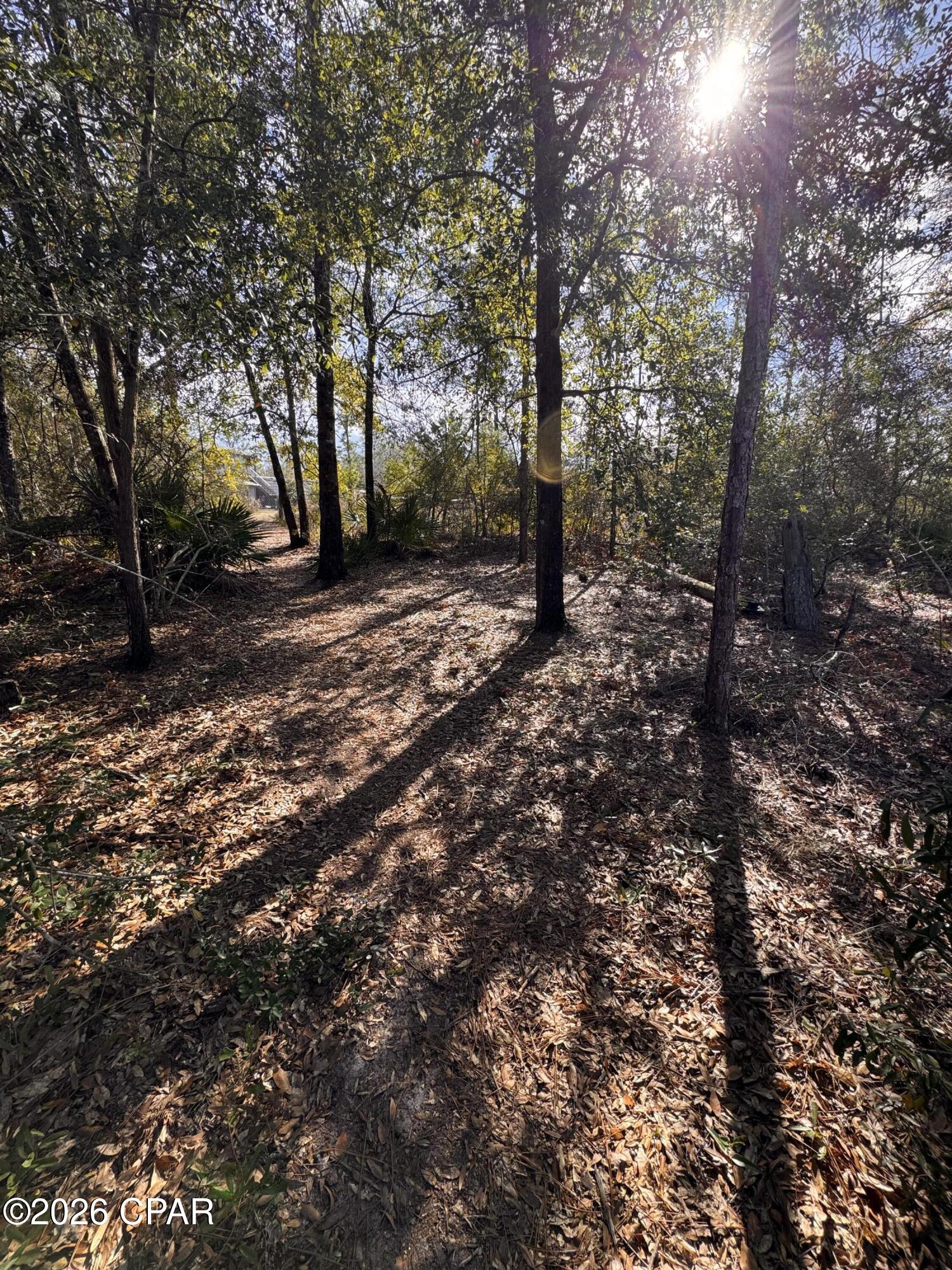 Cypress Point - Residential