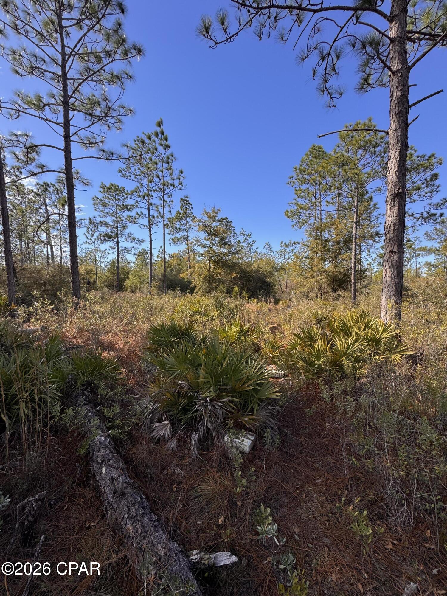 Cypress Point - Residential