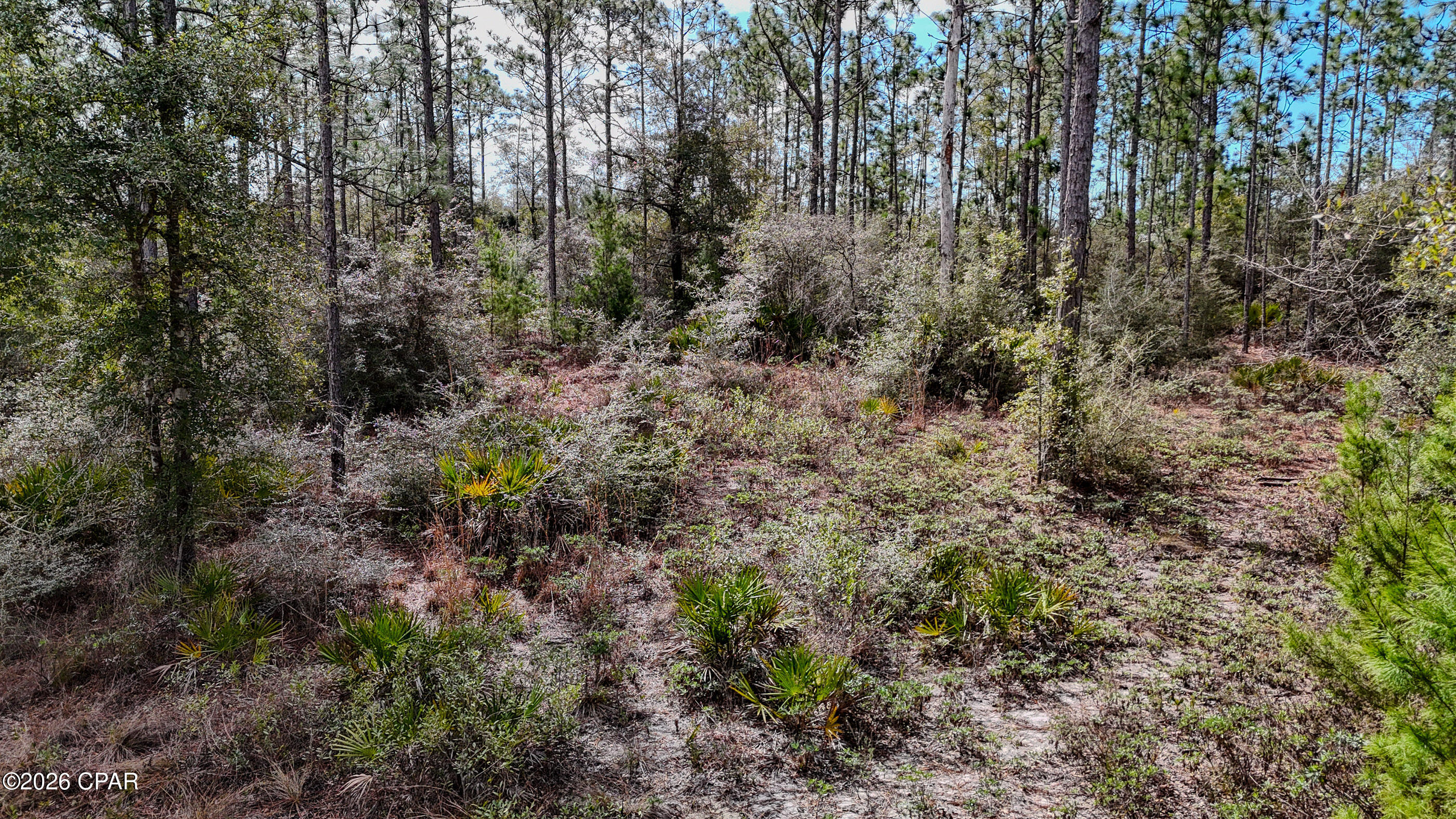 Cypress Point - Residential