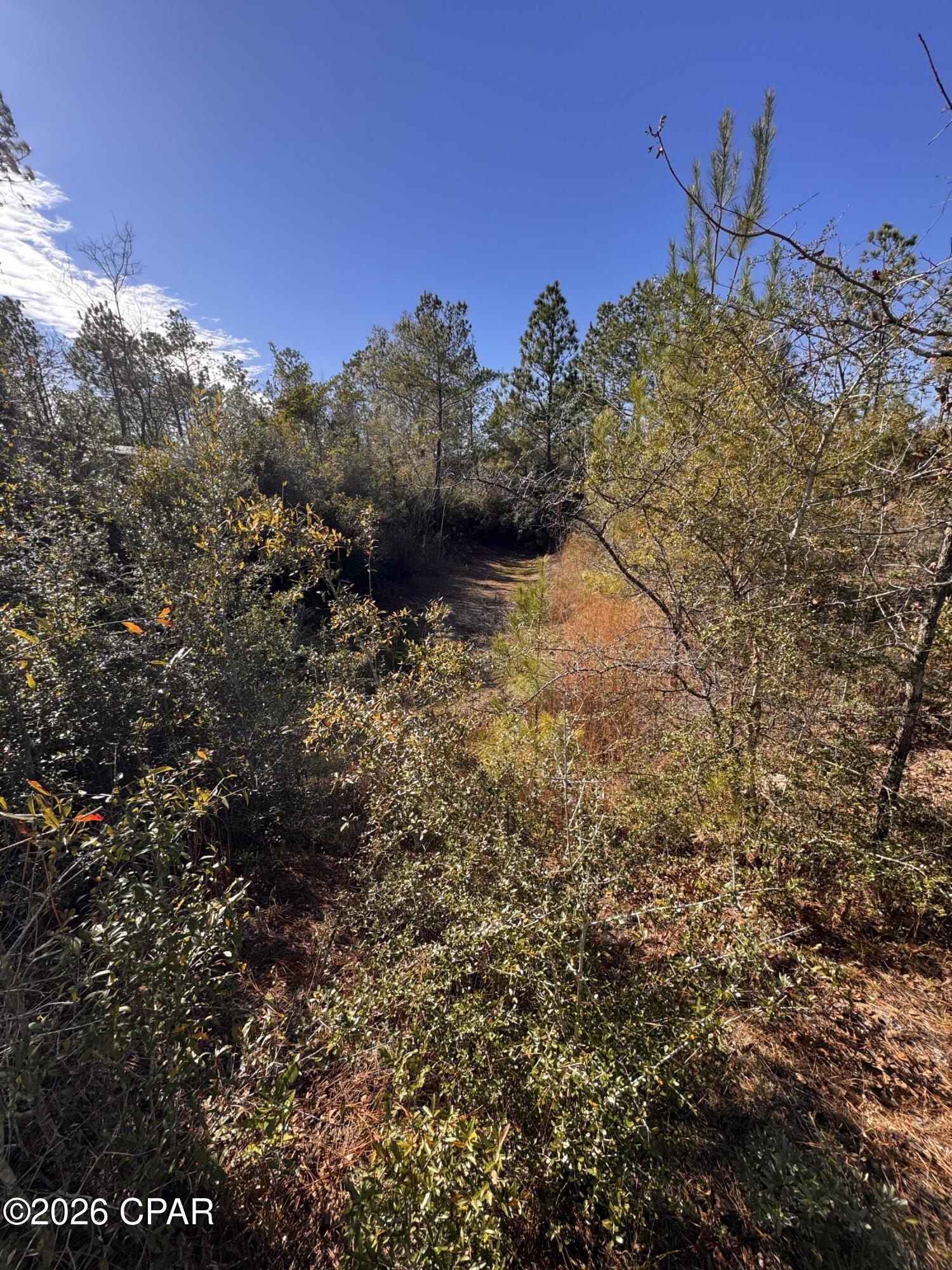 Cypress Point - Residential