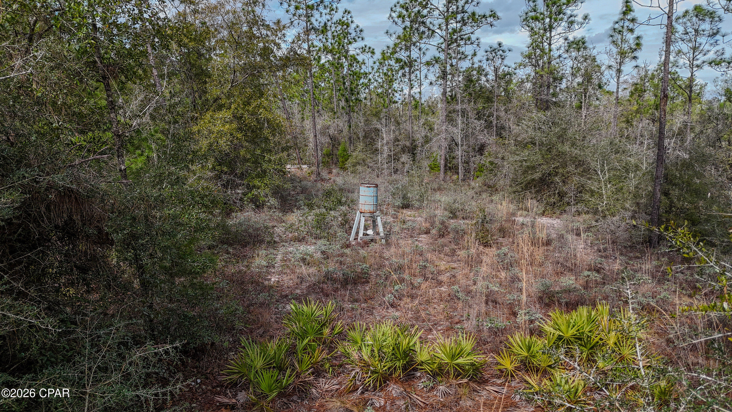 Cypress Point - Residential