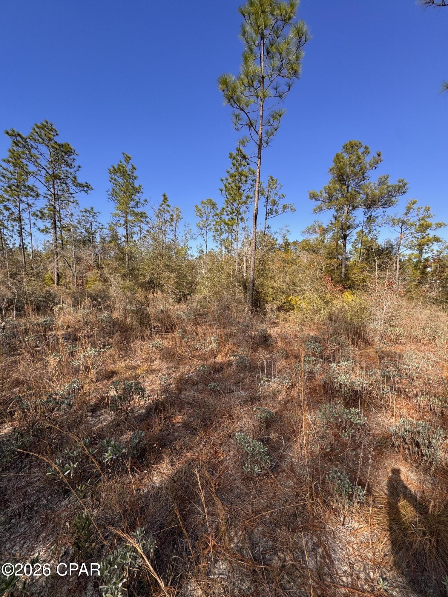 Cypress Point - Residential