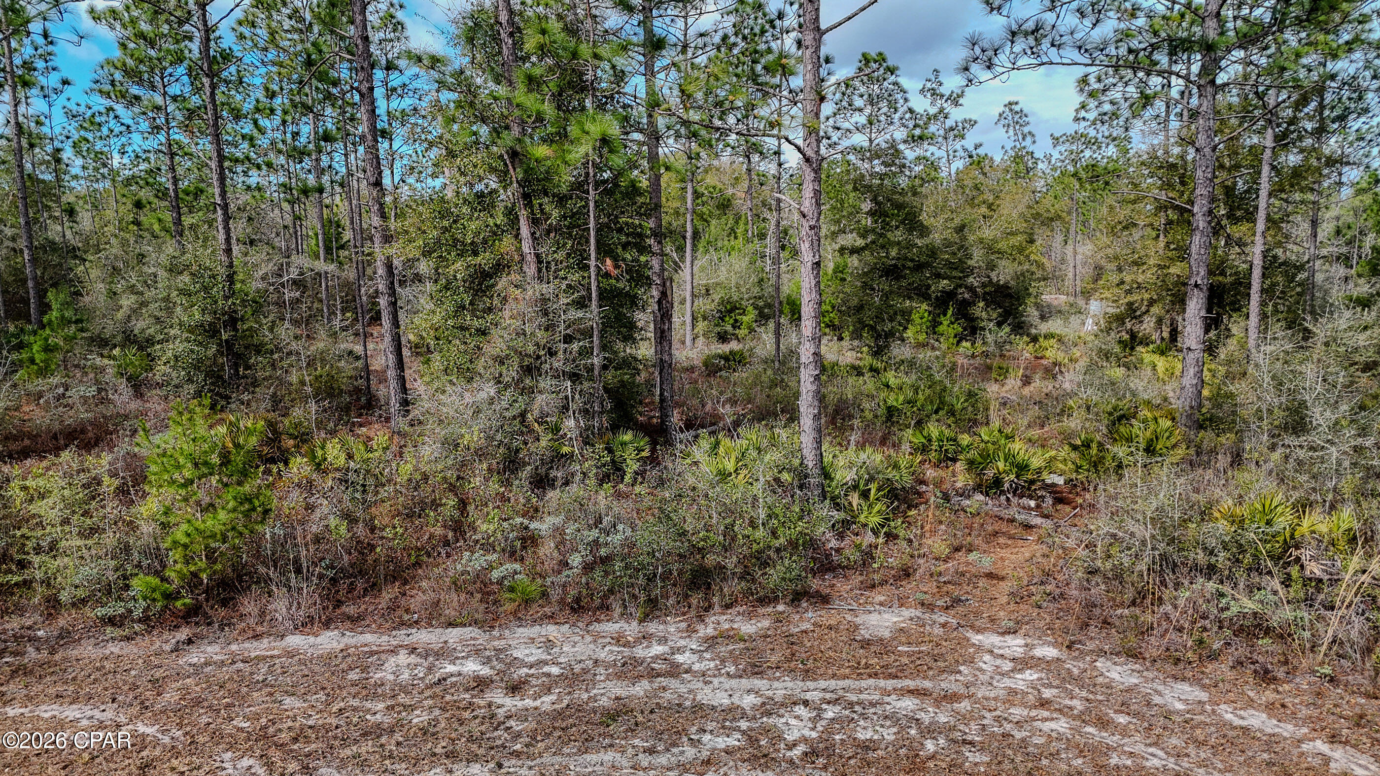 Cypress Point - Residential