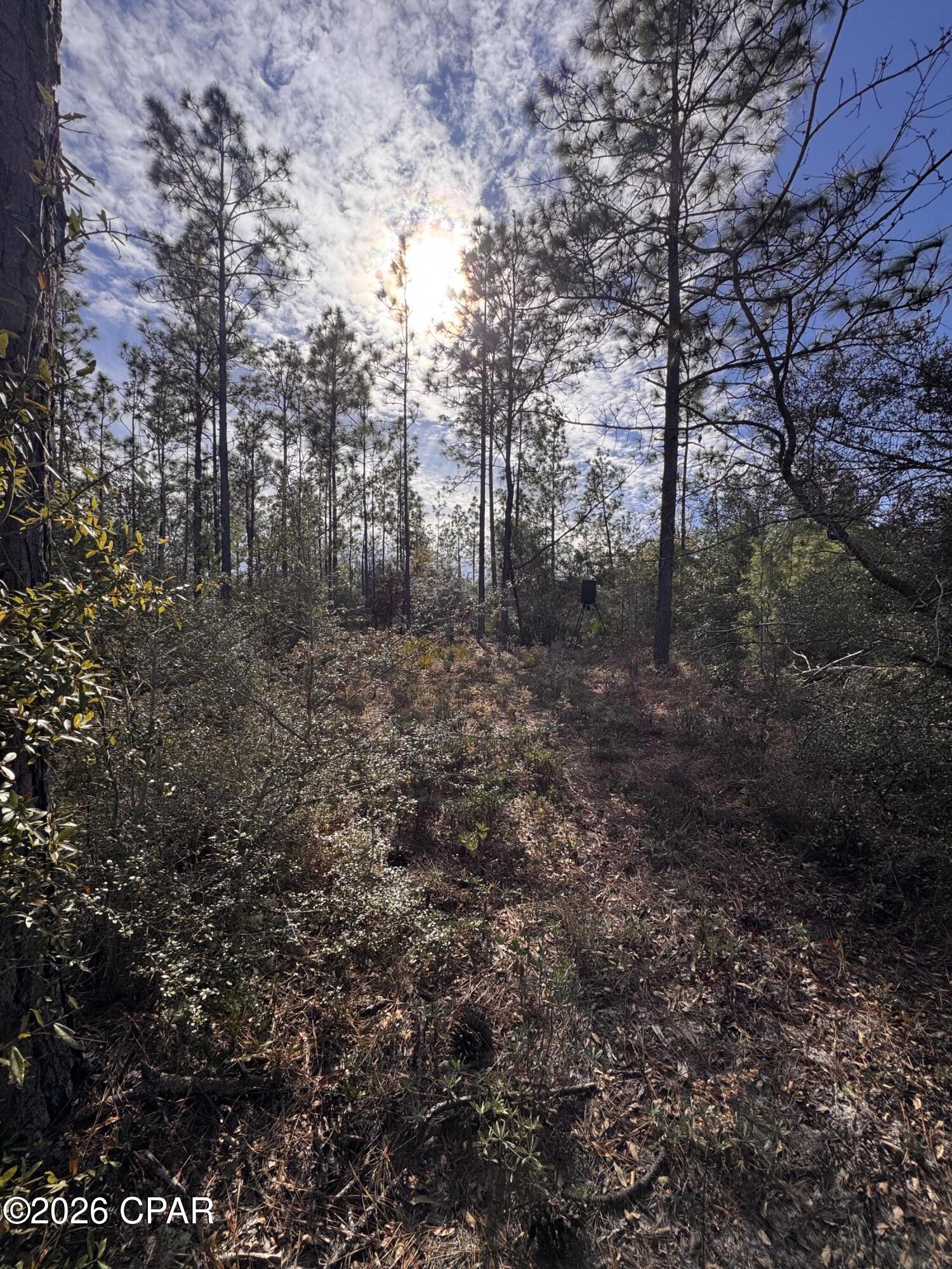 Cypress Point - Residential