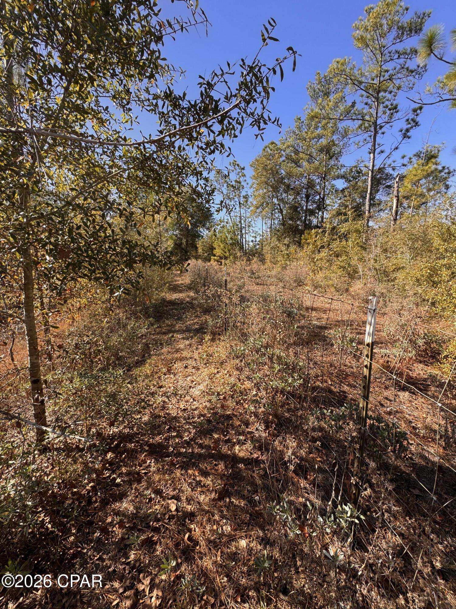 Cypress Point - Residential